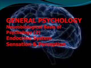 GENERAL PSYCHOLOGY Neurobiological Basis of Psychology (2)  Endocrine System Sensation & Perception 