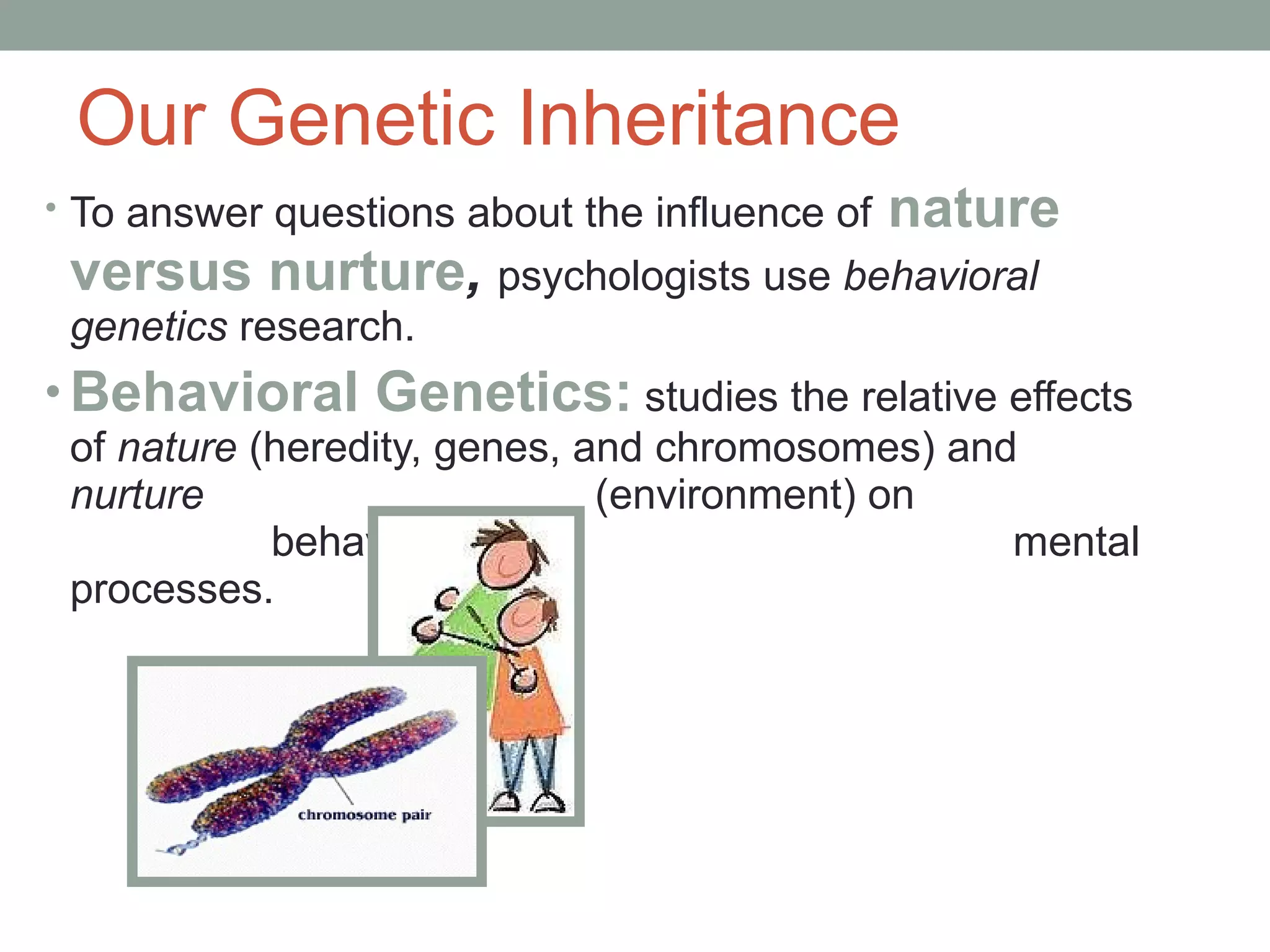 General psych neurobiological bases | PPT