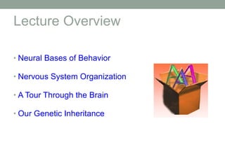 General psych neurobiological bases | PPT