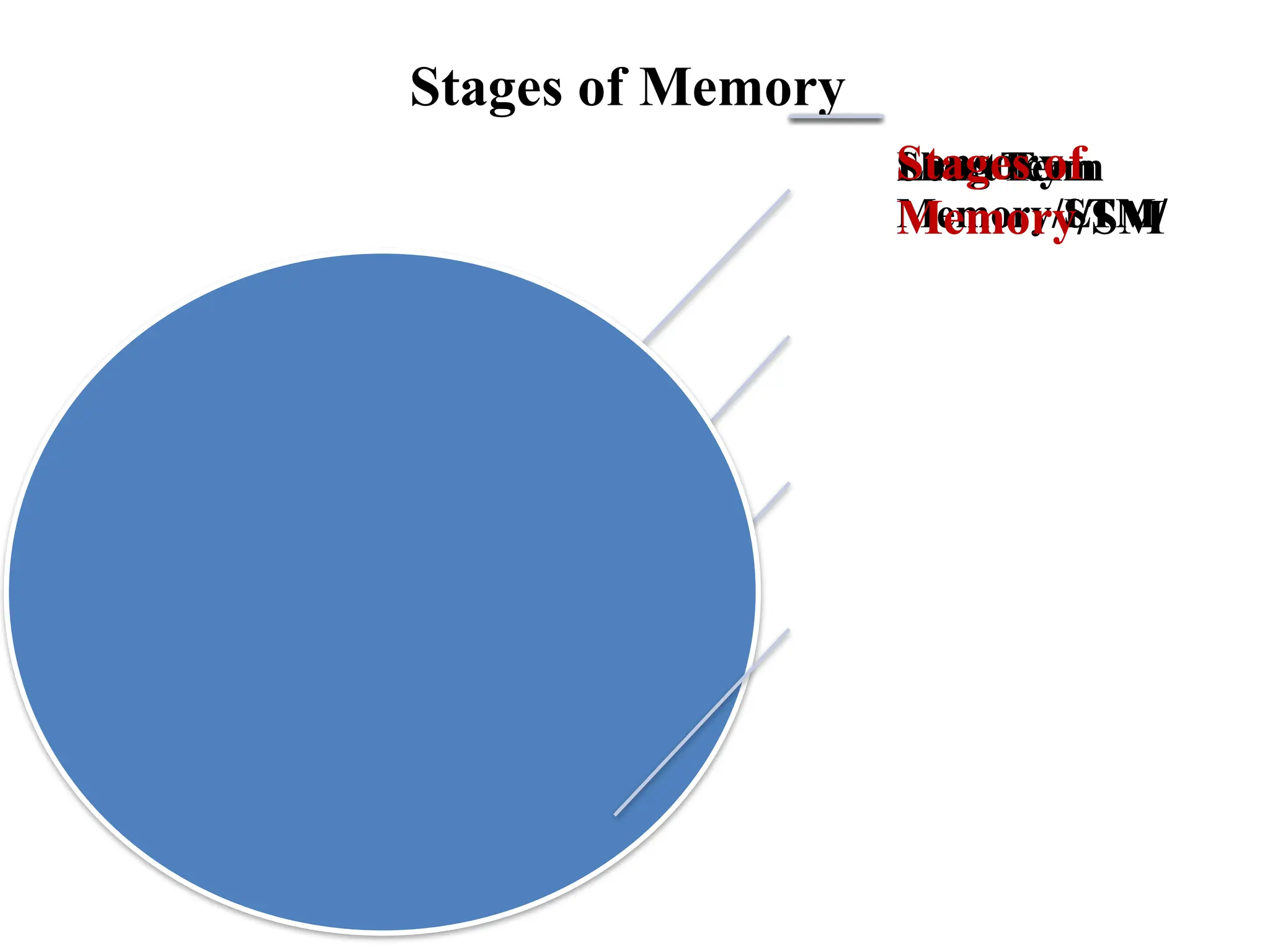 Stages of Memory
Sensory
Memory/SM
Short Term
Memory/STM/
Long Term
Memory/LTM/
Stages of
Memory
 