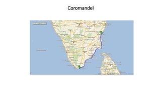 Coromandel
 