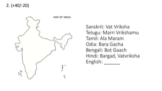 2. (+40/-20)
Sanskrit: Vat Vriksha
Telugu: Marri Vrikshamu
Tamil: Ala Maram
Odia: Bara Gacha
Bengali: Bot Gaach
Hindi: Bargad, Vatvriksha
English: ______
 