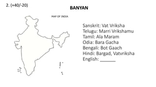 2. (+40/-20)
Sanskrit: Vat Vriksha
Telugu: Marri Vrikshamu
Tamil: Ala Maram
Odia: Bara Gacha
Bengali: Bot Gaach
Hindi: Bargad, Vatvriksha
English: ______
BANYAN
 