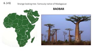 6. (+5) Strange looking tree. Famously native of Madagascar.
BAOBAB
 
