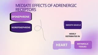 General rule for adrenergic receptors & exceptions | PPTX