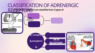 General rule for adrenergic receptors & exceptions | PPTX