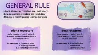 General rule for adrenergic receptors & exceptions | PPTX