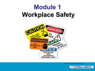 Module 1
Workplace Safety
Developed by: Wes Pelletier, April 2008
 
