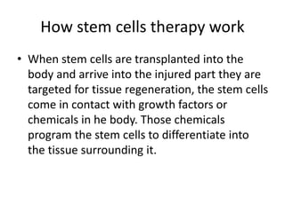 How stem cells therapy work
• When stem cells are transplanted into the
body and arrive into the injured part they are
targeted for tissue regeneration, the stem cells
come in contact with growth factors or
chemicals in he body. Those chemicals
program the stem cells to differentiate into
the tissue surrounding it.
 