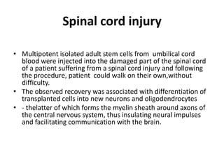 Spinal cord injury
• Multipotent isolated adult stem cells from umbilical cord
blood were injected into the damaged part of the spinal cord
of a patient suffering from a spinal cord injury and following
the procedure, patient could walk on their own,without
difficulty.
• The observed recovery was associated with differentiation of
transplanted cells into new neurons and oligodendrocytes
• ‐ thelatter of which forms the myelin sheath around axons of
the central nervous system, thus insulating neural impulses
and facilitating communication with the brain.
 