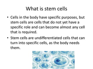 What is stem cells
• Cells in the body have specific purposes, but
stem cells are cells that do not yet have a
specific role and can become almost any cell
that is required.
• Stem cells are undifferentiated cells that can
turn into specific cells, as the body needs
them.
 