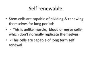Self renewable
• Stem cells are capable of dividing & renewing
themselves for long periods
• - This is unlike muscle, blood or nerve cells-
which don't normally replicate themselves
• - This cells are capable of long term self
renewal
 