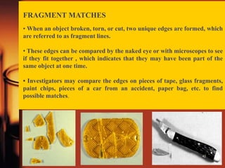 Fragments Random Objects ROLE OF F.S.L IN CRIMES | PPTX