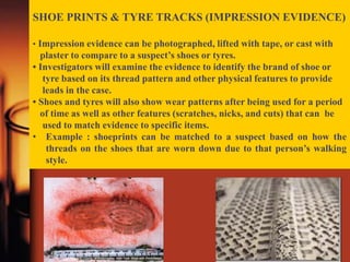 ROLE OF F.S.L IN CRIMES | PPTX