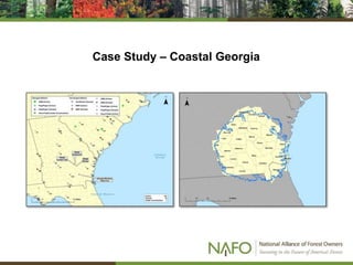 Case Study – Coastal Georgia
 