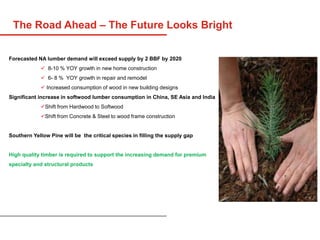 Forecasted NA lumber demand will exceed supply by 2 BBF by 2020
 8-10 % YOY growth in new home construction
 6- 8 % YOY growth in repair and remodel
 Increased consumption of wood in new building designs
Significant increase in softwood lumber consumption in China, SE Asia and India
Shift from Hardwood to Softwood
Shift from Concrete & Steel to wood frame construction
Southern Yellow Pine will be the critical species in filling the supply gap
High quality timber is required to support the increasing demand for premium
specialty and structural products
The Road Ahead – The Future Looks Bright
 