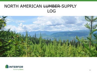 NORTH AMERICAN LUMBER SUPPLY
LOG
30
 