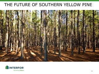 THE FUTURE OF SOUTHERN YELLOW PINE
38
 