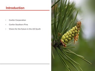 • Canfor Corporation
• Canfor Southern Pine
• Vision for the future in the US South
Introduction
 