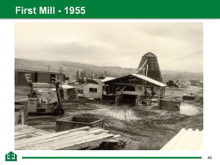 46
First Mill - 1955
 