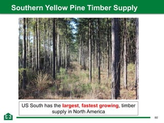 60
Southern Yellow Pine Timber Supply
US South has the largest, fastest growing, timber
supply in North America
 