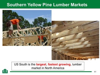 61
Southern Yellow Pine Lumber Markets
US South is the largest, fastest growing, lumber
market in North America
 