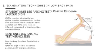Lassague General Somatosensory System NeuroX.pptx