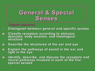 General & Special Senses ,[object Object],[object Object],[object Object],[object Object],[object Object],Chapter objectives: 