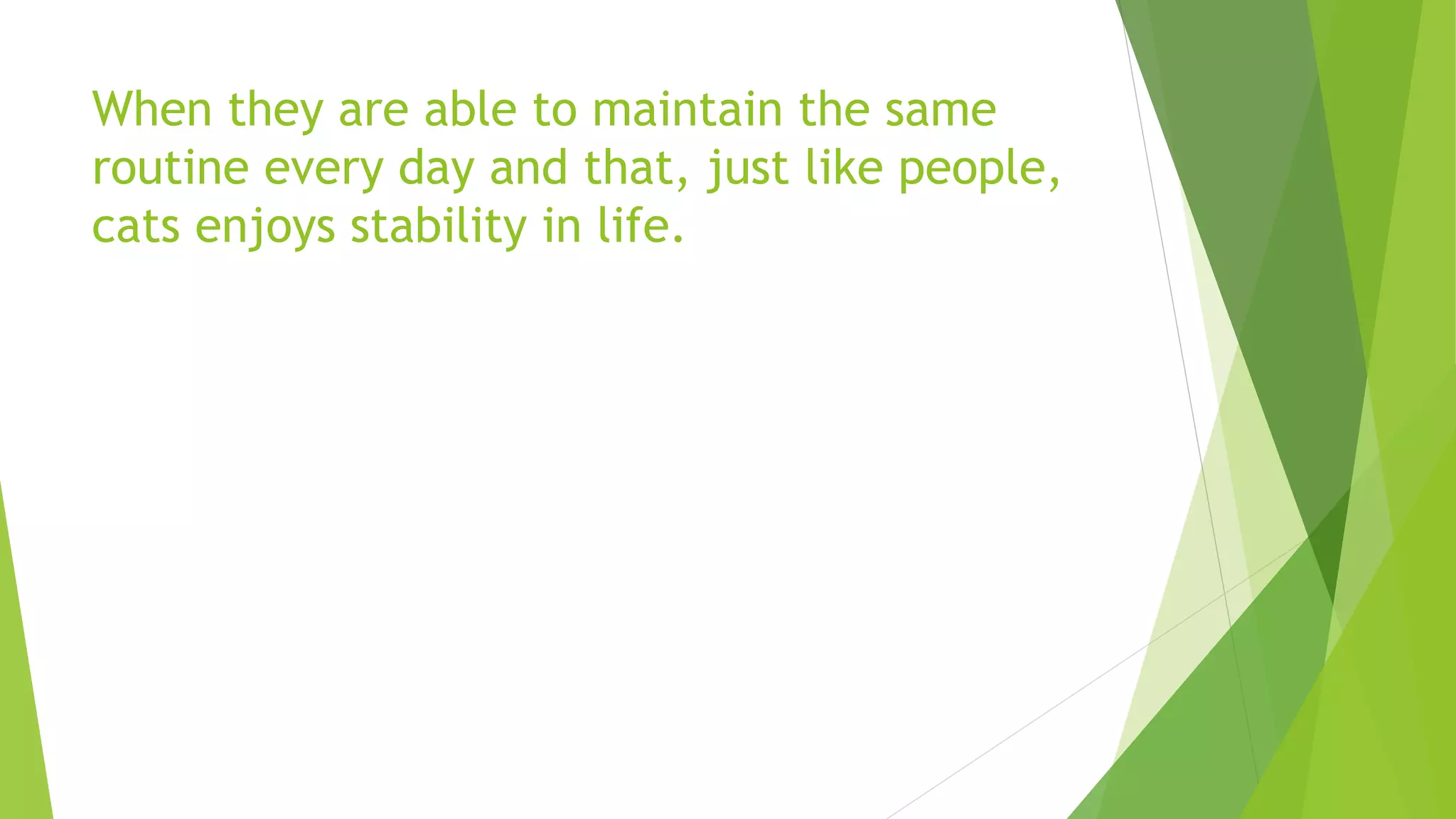When they are able to maintain the same
routine every day and that, just like people,
cats enjoys stability in life.
 