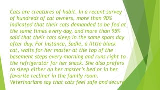 Cats are creatures of habit. In a recent survey
of hundreds of cat owners, more than 90%
indicated that their cats demanded to be fed at
the same times every day, and more than 95%
said that their cats sleep in the same spots day
after day. For instance, Sadie, a little black
cat, waits for her master at the top of the
basement steps every morning and runs right to
the refrigerator for her snack. She also prefers
to sleep either on her master’s bed or in her
favorite recliner in the family room.
Veterinarians say that cats feel safe and secure
 