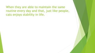 When they are able to maintain the same
routine every day and that, just like people,
cats enjoys stability in life.
 