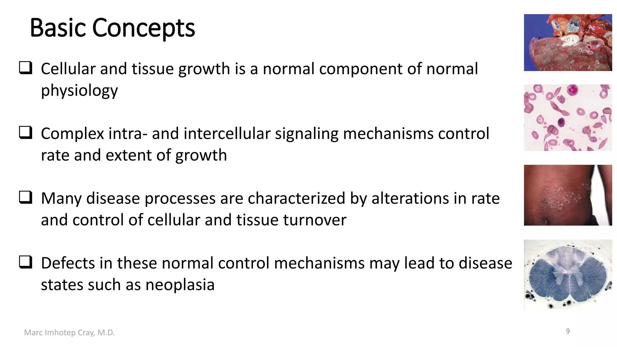 General and Systemic Pathology Concepts-A Global Overview | PDF