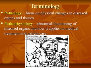 Terminology
   Pathology – focus on physical changes in diseased
    organs and tissues
   Pathophysiology – abnormal functioning of
    diseased organs and how it applies to medical
    treatment and patient care
 