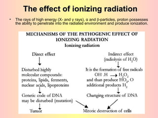The effect of ionizing radiation
•   The rays of high energy (X- and γ rays), α and β-particles, proton possesses
    the ability to penetrate into the radiated environment and produce ionization.
 