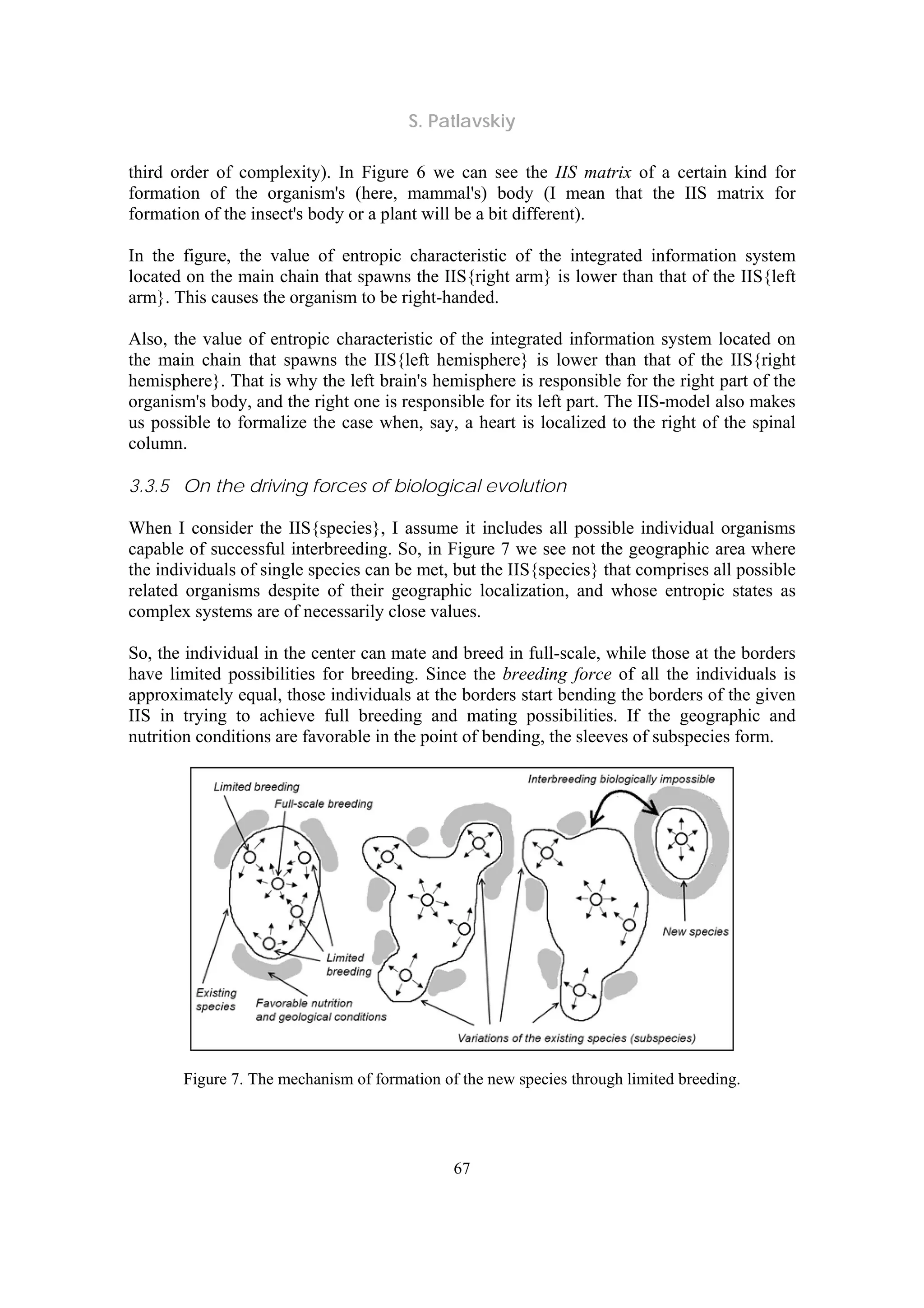 S. Patlavskiy
67
third order of complexity). In Figure 6 we can see the IIS matrix of a certain kind for
formation of the organism's (here, mammal's) body (I mean that the IIS matrix for
formation of the insect's body or a plant will be a bit different).
In the figure, the value of entropic characteristic of the integrated information system
located on the main chain that spawns the IIS{right arm} is lower than that of the IIS{left
arm}. This causes the organism to be right-handed.
Also, the value of entropic characteristic of the integrated information system located on
the main chain that spawns the IIS{left hemisphere} is lower than that of the IIS{right
hemisphere}. That is why the left brain's hemisphere is responsible for the right part of the
organism's body, and the right one is responsible for its left part. The IIS-model also makes
us possible to formalize the case when, say, a heart is localized to the right of the spinal
column.
3.3.5 On the driving forces of biological evolution
When I consider the IIS{species}, I assume it includes all possible individual organisms
capable of successful interbreeding. So, in Figure 7 we see not the geographic area where
the individuals of single species can be met, but the IIS{species} that comprises all possible
related organisms despite of their geographic localization, and whose entropic states as
complex systems are of necessarily close values.
So, the individual in the center can mate and breed in full-scale, while those at the borders
have limited possibilities for breeding. Since the breeding force of all the individuals is
approximately equal, those individuals at the borders start bending the borders of the given
IIS in trying to achieve full breeding and mating possibilities. If the geographic and
nutrition conditions are favorable in the point of bending, the sleeves of subspecies form.
Figure 7. The mechanism of formation of the new species through limited breeding.
 