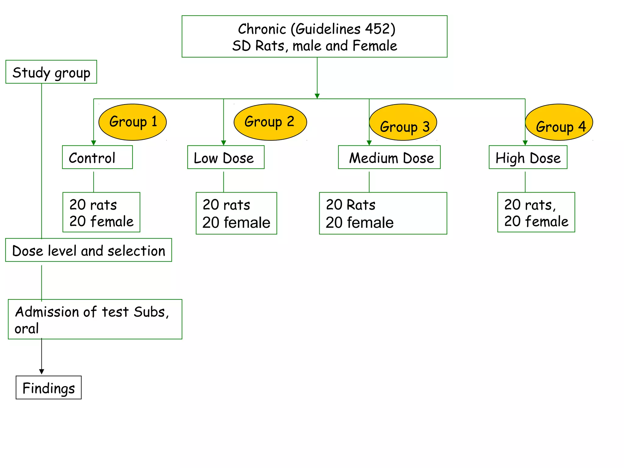 Chronic (Guidelines 452)
SD Rats, male and Female
20 rats
20 female
20 rats
20 female
20 Rats
20 female
20 rats,
20 female
Control Low Dose Medium Dose High Dose
Study group
Dose level and selection
Admission of test Subs,
oral
Group 1 Group 2 Group 3 Group 4
Findings
 