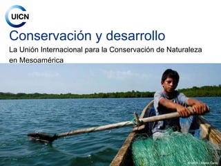 Oficina Regional para Mesoamérica y la Iniciativa Caribe de la Unión Internacional para la Conservación de la Naturaleza
Conservación y desarrollo
La Unión Internacional para la Conservación de Naturaleza
en Mesoamérica
 