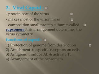 General virology | PPSX
