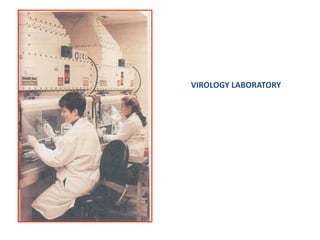 general Virology & Overview of Viral Infections.pptx