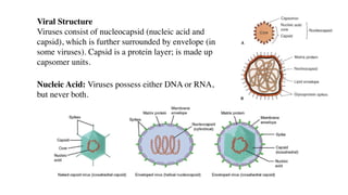 Viral Structure
Viruses consist of nucleocapsid (nucleic acid and
capsid), which is further surrounded by envelope (in
some viruses). Capsid is a protein layer; is made up
capsomer units.
Nucleic Acid: Viruses possess either DNA or RNA,
but never both.
 