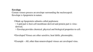 Envelope
Certain viruses possess an envelope surrounding the nucleocapsid.
Envelope is lipoprotein in nature.
• Made up lipoprotein subunits called peplomere
○ Lipid part is host cell membrane-derived and protein part is virus-
derived,
○ Envelop provides chemical, physical and biological properties to cell.
• Enveloped Viruses are ether sensitive, heat labile, pleomorphic.
• Example – All, other than nonenveloped viruses are enveloped virus.
 