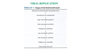 VIRAL REPLICATION
 
