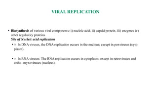• Biosynthesis of various viral components: i) nucleic acid, ii) capsid protein, iii) enzymes iv)
other regulatory proteins
Site of Nucleic acid replication
• ○ In DNA viruses, the DNA replication occurs in the nucleus; except in poxviruses (cyto-
plasm).
• ○ In RNA viruses: The RNA replication occurs in cytoplasm; except in retroviruses and
ortho- myxoviruses (nucleus).
VIRAL REPLICATION
 