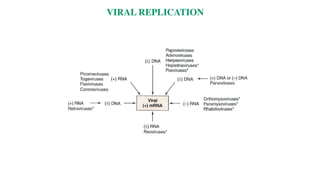 VIRAL REPLICATION
 