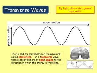 Transverse Waves
Eg. light, ultra-violet, gamma
rays, radio.
The to-and-fro movements of the wave are
called oscillations. In a transverse wave
these oscillations are at right angles to the
direction in which the energy is travelling.
 