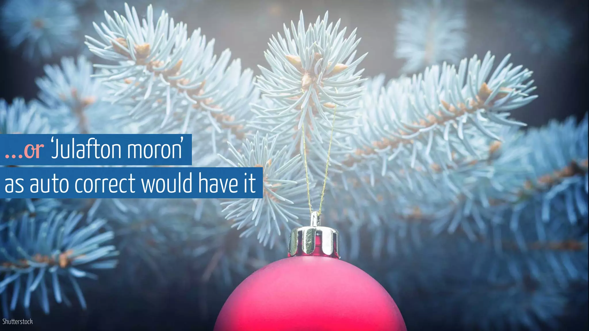 Shutterstock
…or ‘Julafton moron’  
as auto correct would have it
 