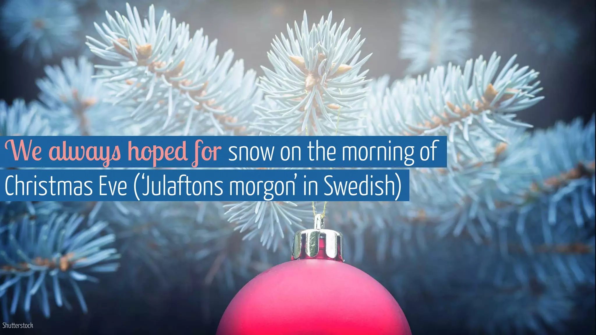Shutterstock
We always hoped for snow on the morning of
Christmas Eve (‘Julaftons morgon’ in Swedish)
 