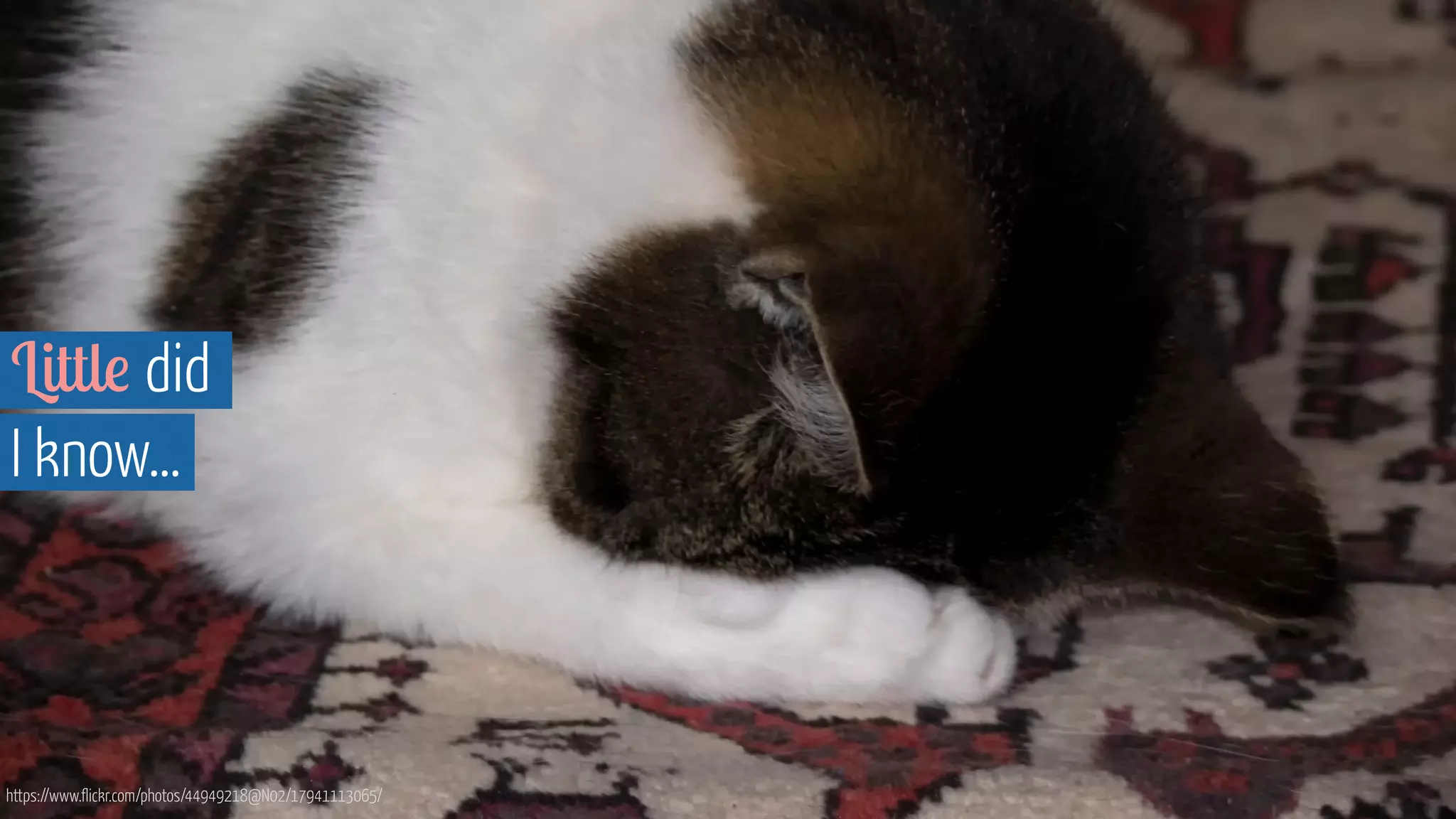 Little did  
I know…
https://www.flickr.com/photos/44949218@N02/17941113065/
 