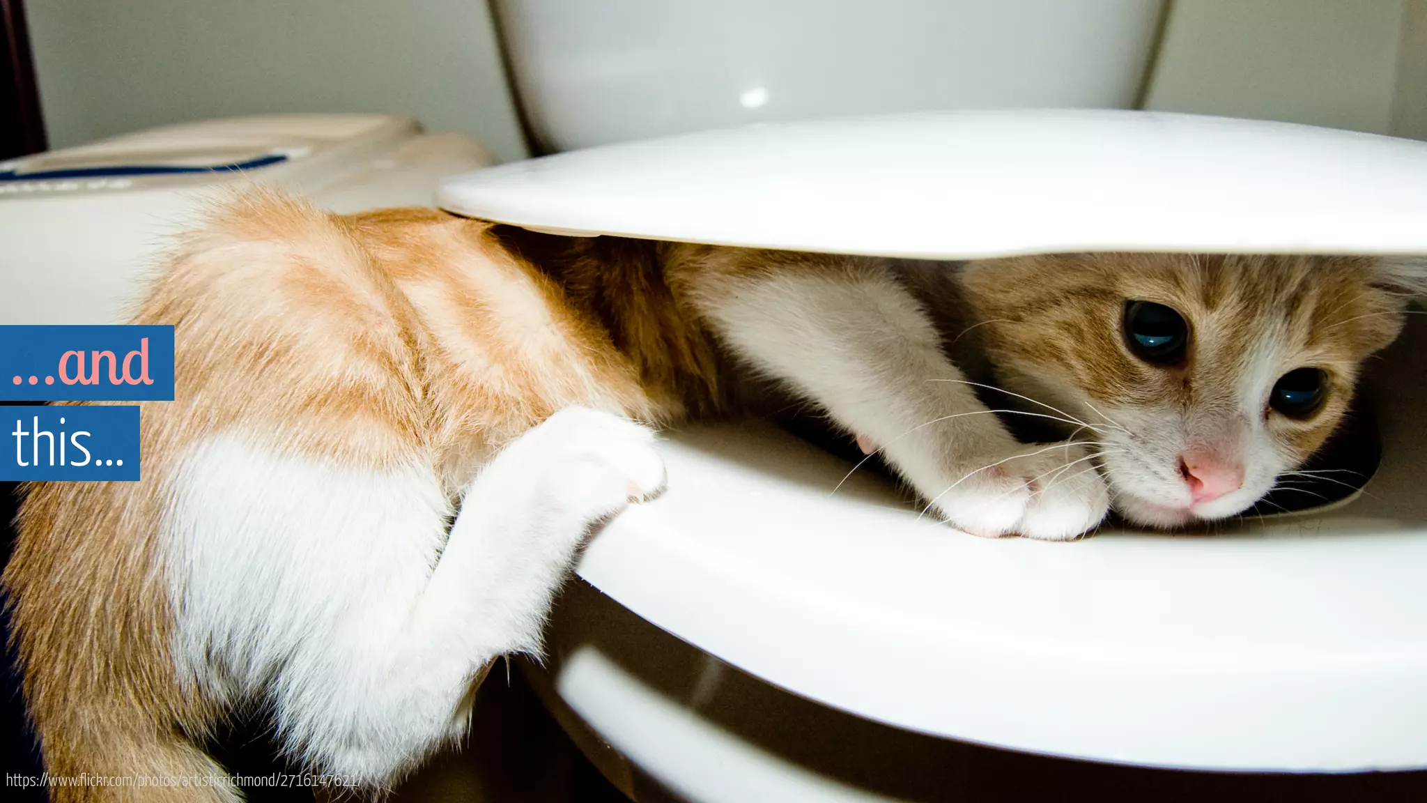 …and
this…
https://www.flickr.com/photos/artisticrichmond/2716147621/
 