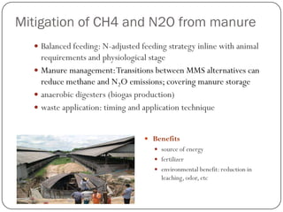 Technical mitigation options in dairy